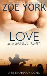 Love in a Sandstorm - Zoe York