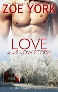 Love in a Snowstorm - Zoe York