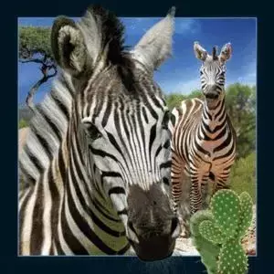 Magnes 3D Zebra - Worth Keeping