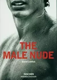 Male Nude - David Leddick