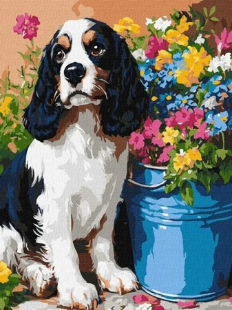 Malowanie po numerach - Uroczy spaniel 30x40cm - Ideyka