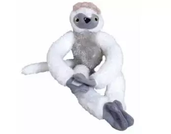 Małpa na rzepy Sifaka mała - Dubi