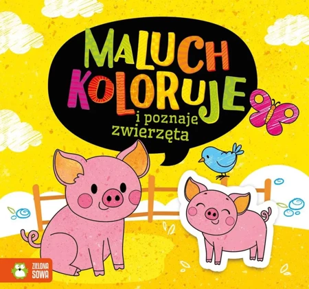 Maluch koloruje i poznaje zwierzęta - Opracowanie zbiorowe