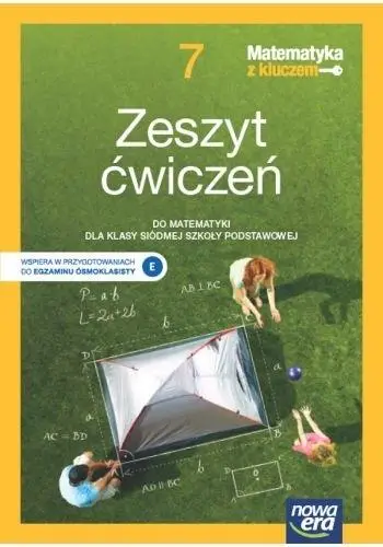 Matematyka SP 7 Matematyka z kluczem neon Ćw. - Marcin Braun, Agnieszka Mańkowska, Małgorzata Pas