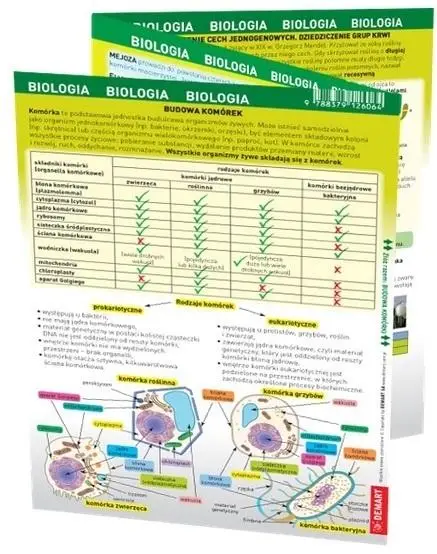 Maxi ściąga - Biologia - Opracowanie zbiorowe