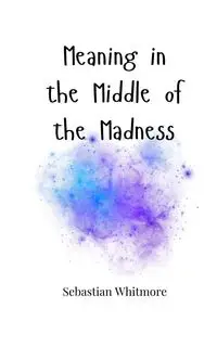 Meaning in the Middle of the Madness - Sebastian Whitmore