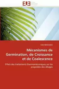 Mécanismes de germination, de croissance et de coalescence - BENSAADA-S