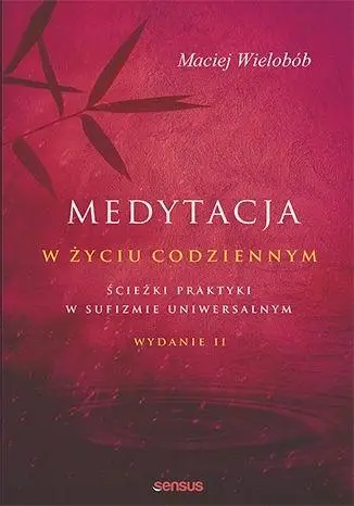 Medytacja w życiu codziennym - Maciej Wielobób