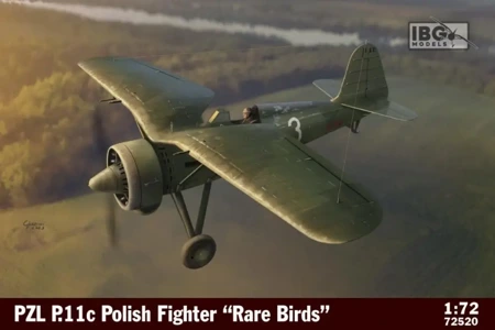 Model plastikowy PZL P.11c Polish Fighter in Rare Birds 1/72 - Ibg