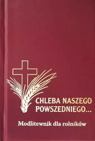 Modlitewnik - Chleba Naszego Powszedniego... - praca zbiorowa