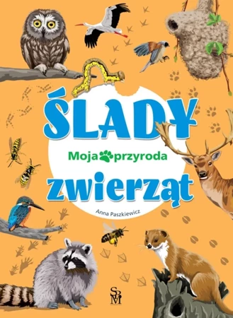 Moja przyroda. Ślady zwierząt - Anna Paszkiewicz