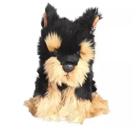 Morkie 30cm - Dubi