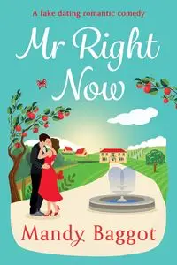 Mr Right Now - Mandy Baggot