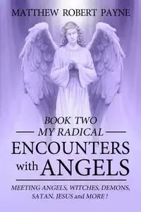 My Radical Encounters with Angels - Matthew Robert Payne