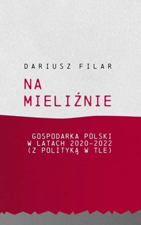 Na mieliźnie. Gospodarka Polski w latach 2020-2022 - Dariusz Filar