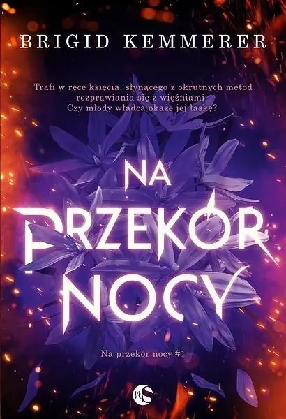 Na przekór nocy - Brigid Kemmerer