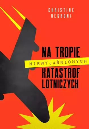 Na tropie niewyjaśnionych katastrof lotniczych - Christine Negroni, Witold Biliński