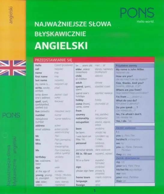 Najważniejsze słowa błyskawicznie. Angielski - praca zbiorowa