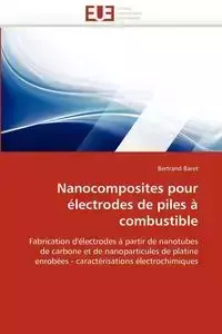 Nanocomposites pour électrodes de piles à combustible - BARET-B