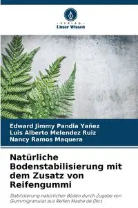 Natürliche Bodenstabilisierung mit dem Zusatz von Reifengummi - Edward Jimmy Pandia Yañez