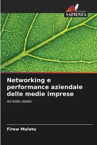 Networking e performance aziendale delle medie imprese - Mulatu Firew