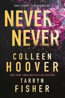 Never Never. 2023 ed - Colleen Hoover, Tarryn Fisher