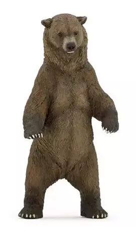 Niedźwiedź Grizzly - PAPO