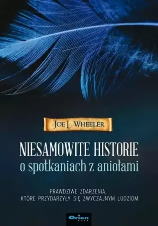 Niesamowite historie o spotkaniach z aniołami - Joe L. Wheeler