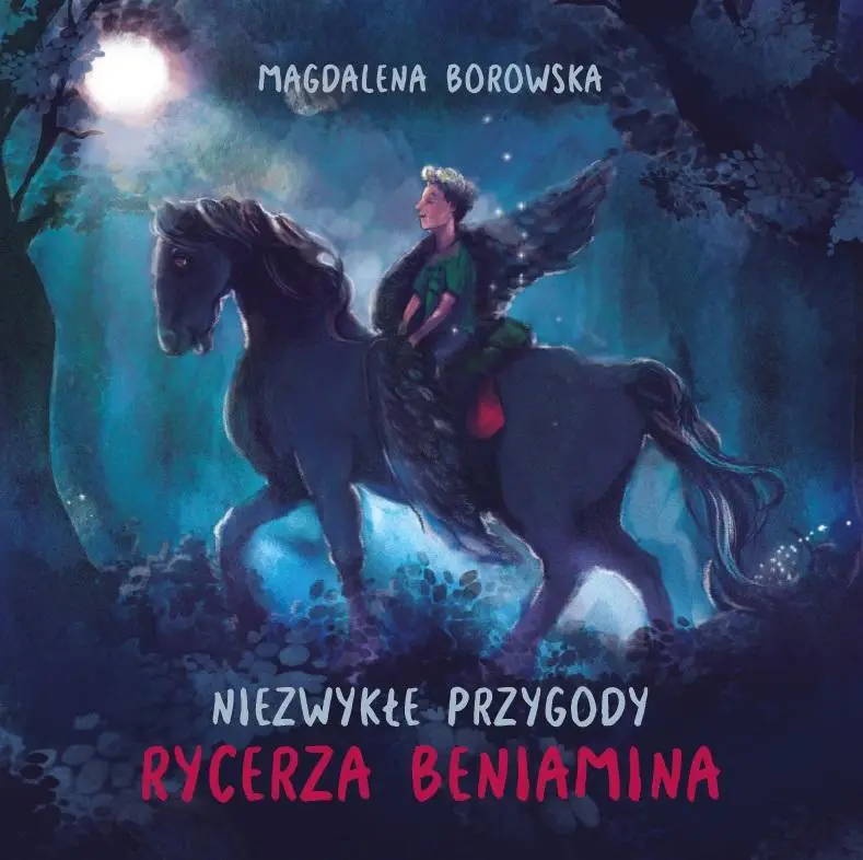 Niezwykłe przygody rycerza Beniamina - Magdalena Borowska