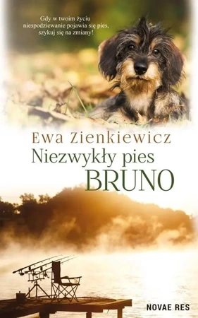 Niezwykły pies Bruno - Ewa Zienkiewicz