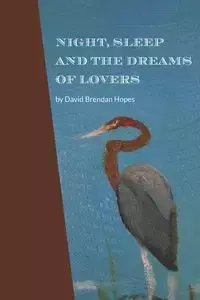 Night, Sleep and the Dreams of Lovers - David Brendan Hopes