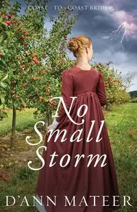 No Small Storm - Mateer D'Ann