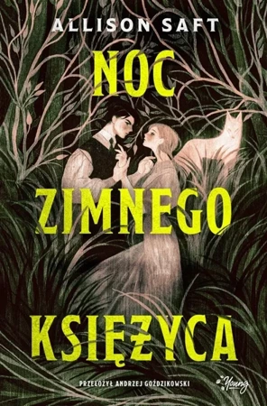 Noc Zimnego Księżyca - Allison Saft