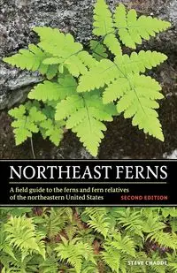 Northeast Ferns - Steve Chadde W