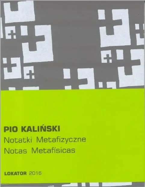 Notatki metafizyczne - Pio Kaliński