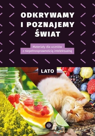 Odkrywamy i poznajemy Świat Lato - praca zbiorowa