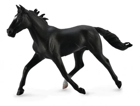 Ogier Standardbred Pacer czarny - Collecta