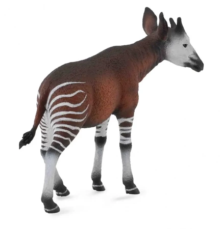 Okapi - Collecta