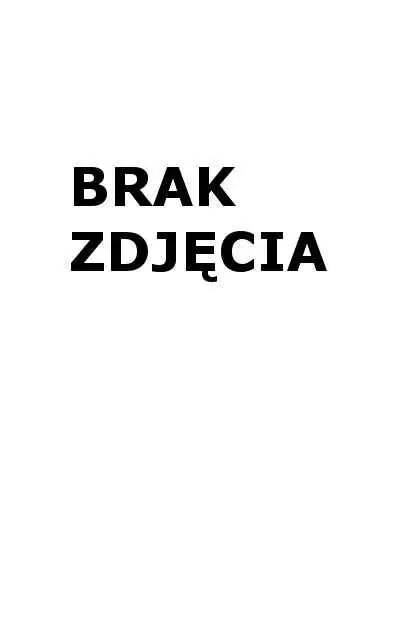 Ołówki z czarnego drewna Astrapen 3szt ASTRA - ASTRA papiernicze