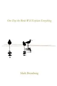 One Day the Birds Will Explain Everything - Mark Bromberg