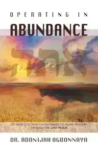 Operating in Abundance - Ogbonnaya Adonijah