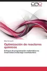 Optimización de reactores químicos - Elisa Verruschi