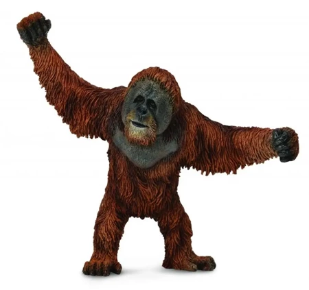 Orangutan - Collecta