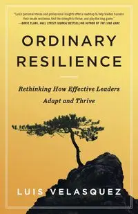 Ordinary Resilience - Luis Velasquez