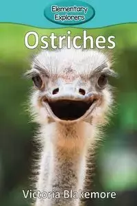 Ostriches - Victoria Blakemore