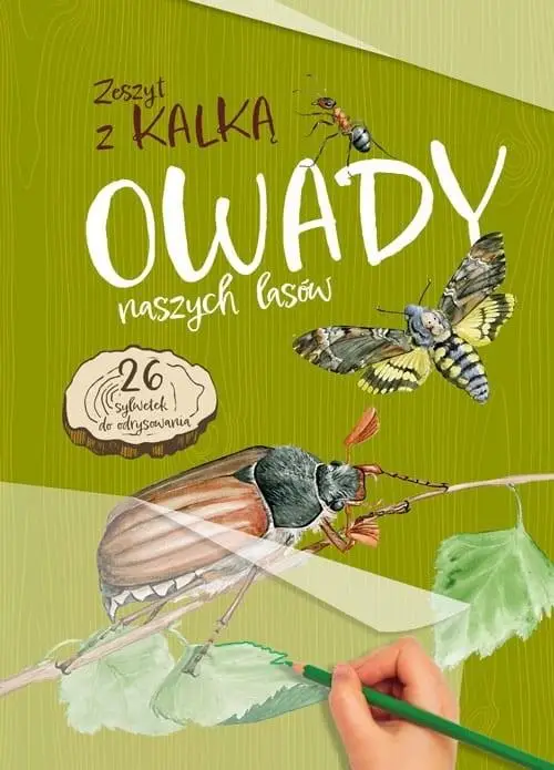 Owady naszych lasów. Zeszyt z kalką - Katarzyna Kopiec-Sekieta