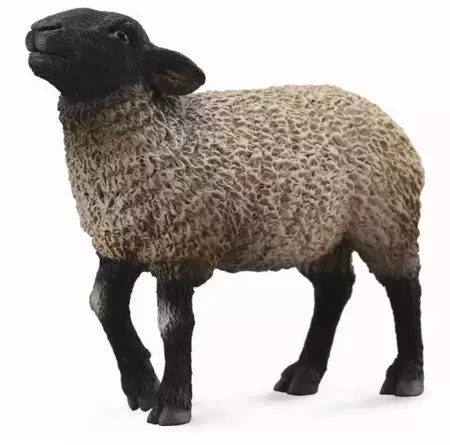 Owca Suffolk - Collecta