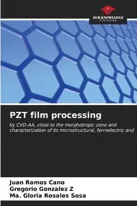 PZT film processing - Juan Ramos Cano