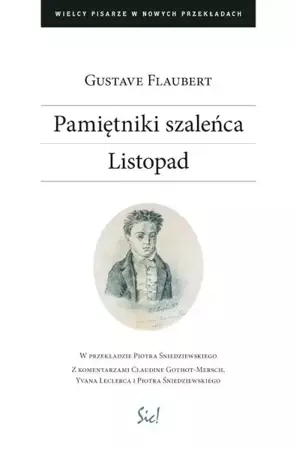 Pamiętniki szaleńca. Listopad - Gustave Flaubert