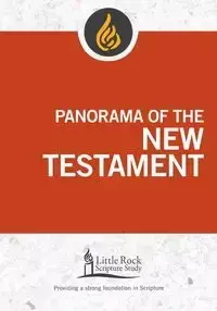 Panorama of the New Testament - Stephen Binz J